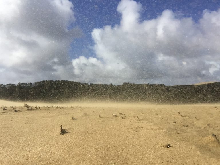 Te Paki Sand Dunes in New Zealand - Sandal Tan Man