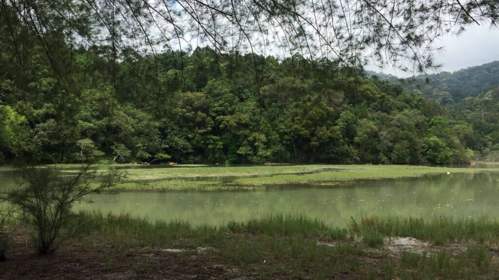 meromictic lake in penang