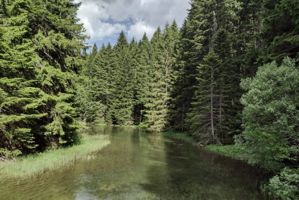 durmitor national park river