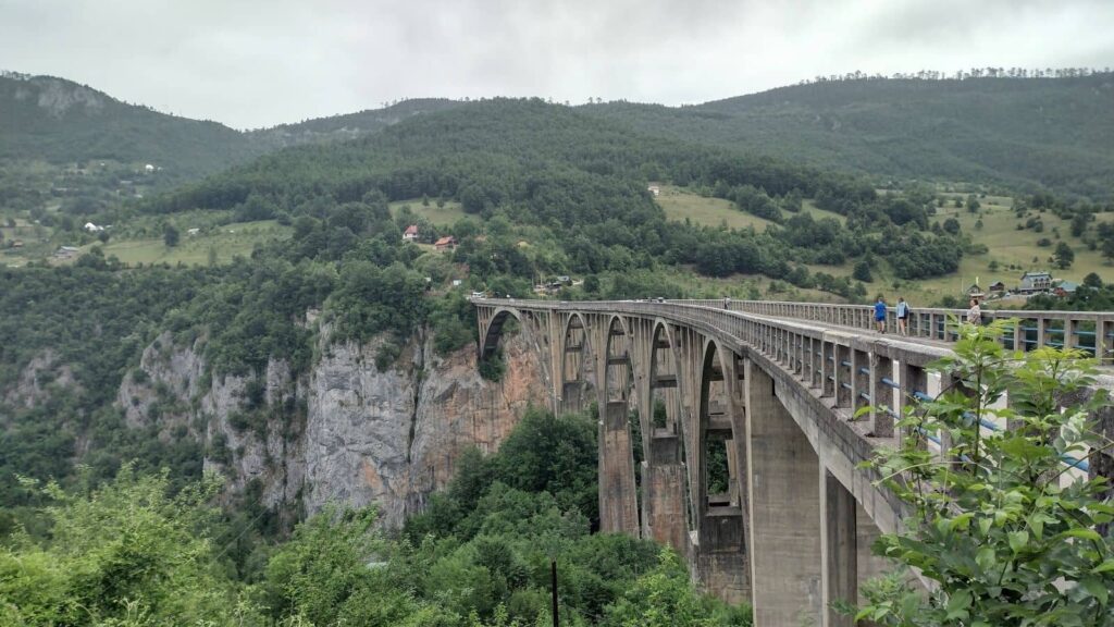 tara bridge