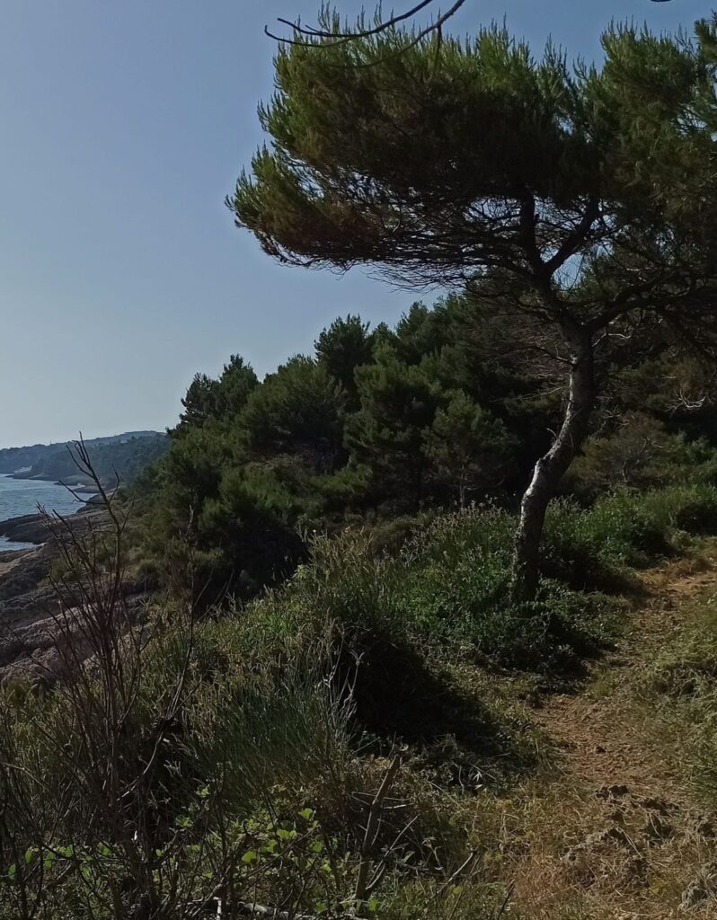 ulcinj walk