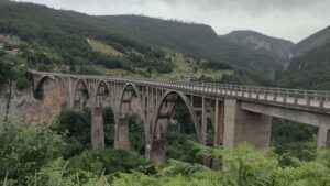 Tara Bridge
