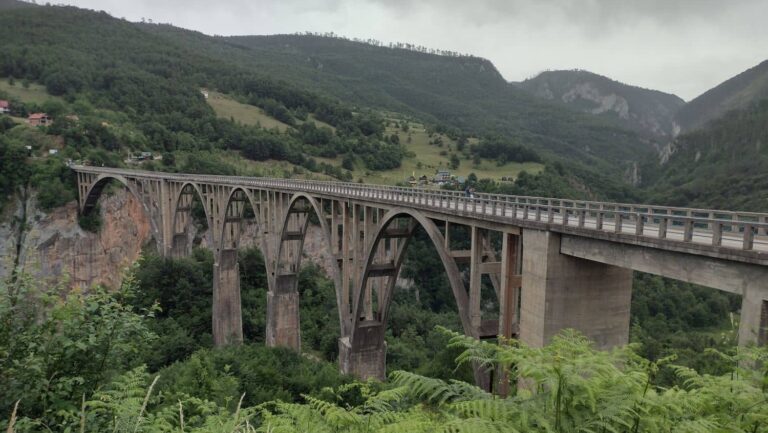 Tara Bridge