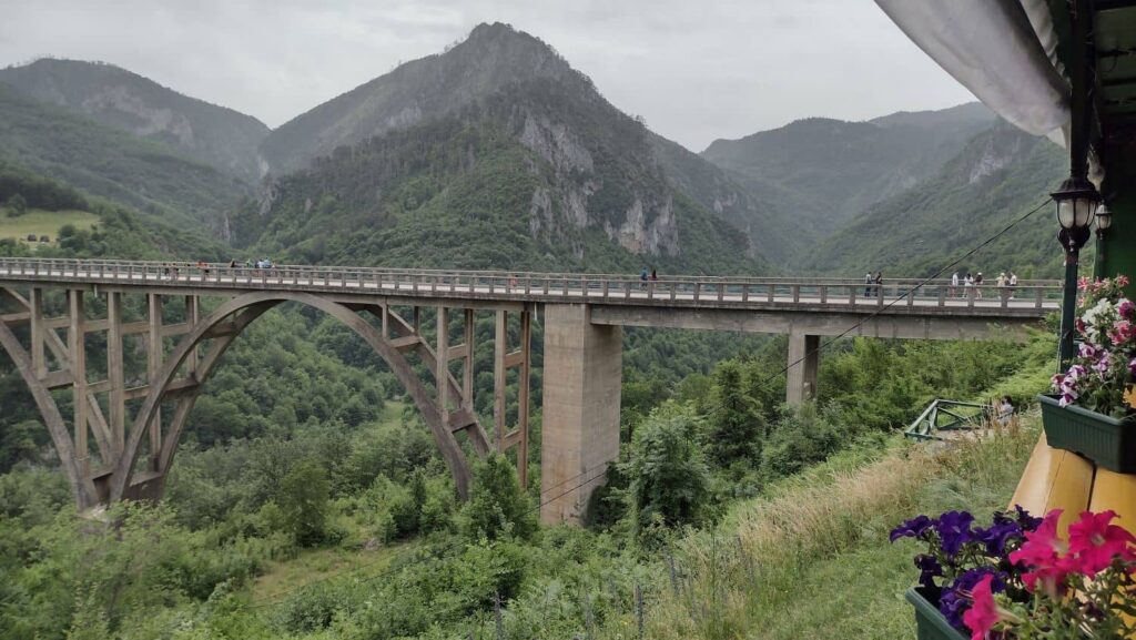 tara bridge