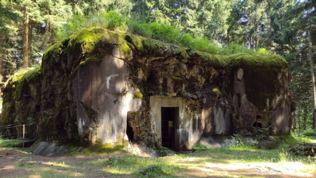 forest bunker near neratov