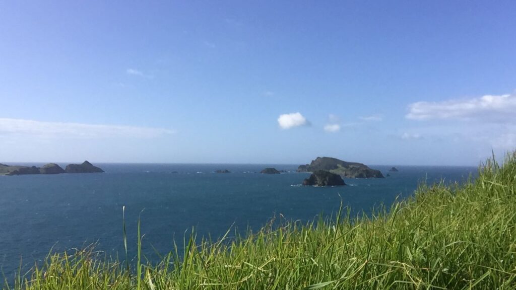 northland road trip