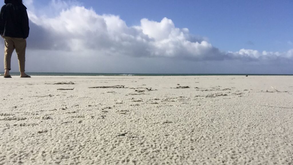 rarawa beach