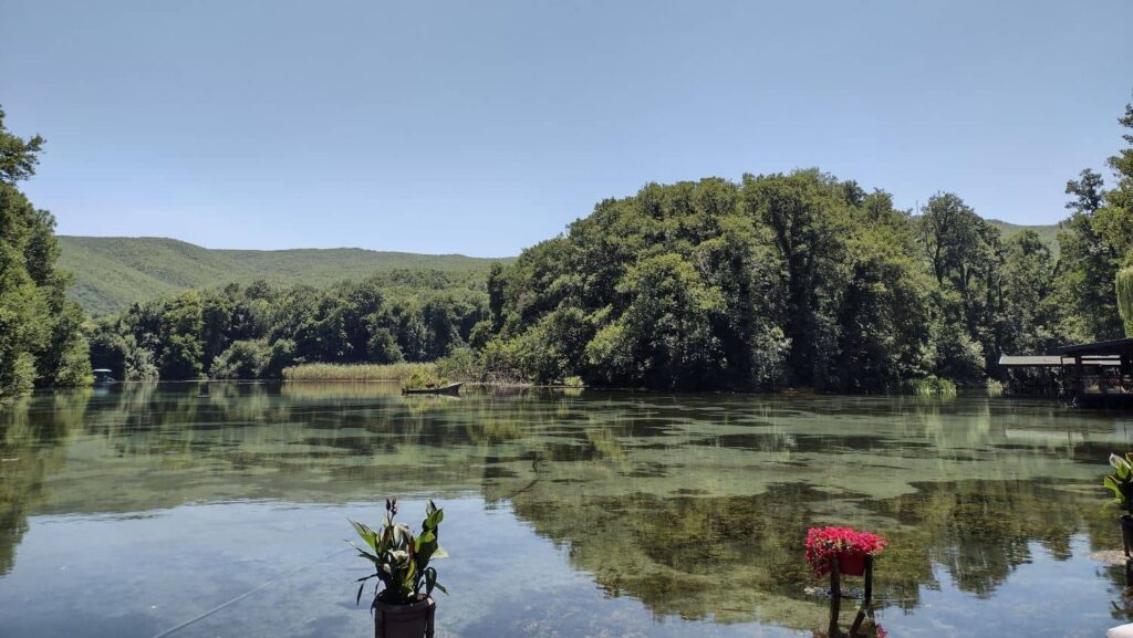 sveti naum springs