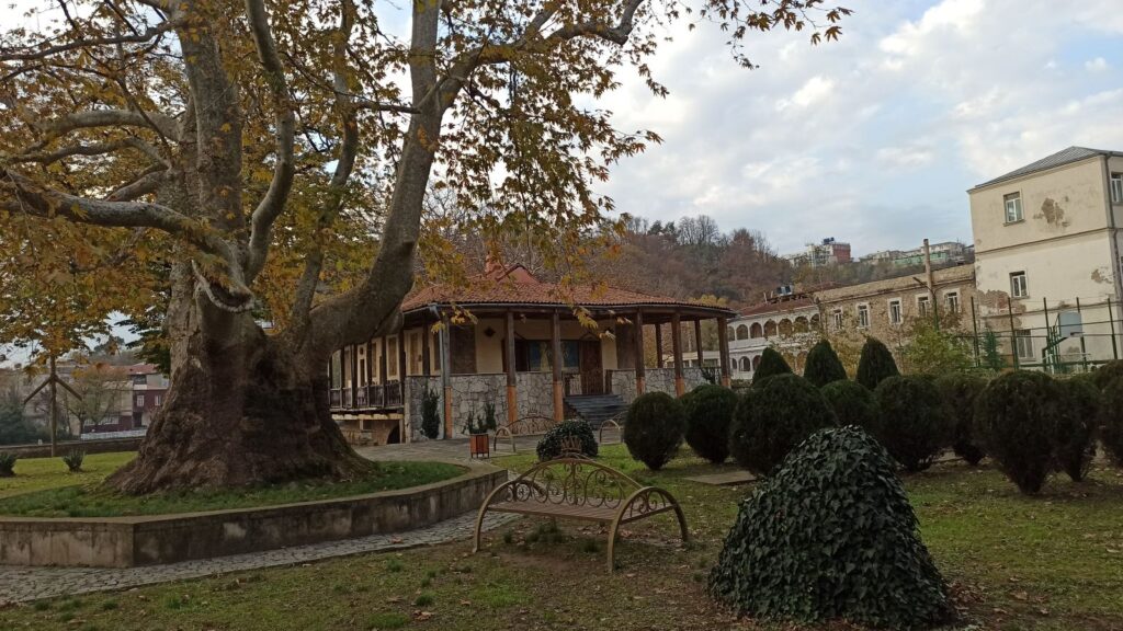 kutaisi old town tree
