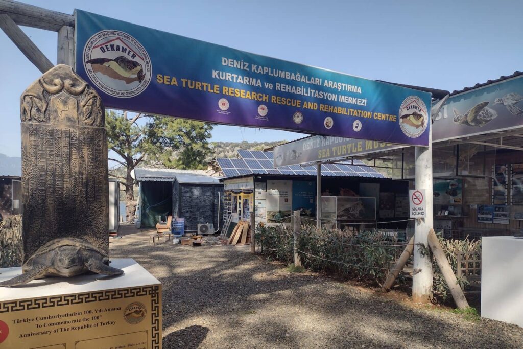 Dalyan turtle research center