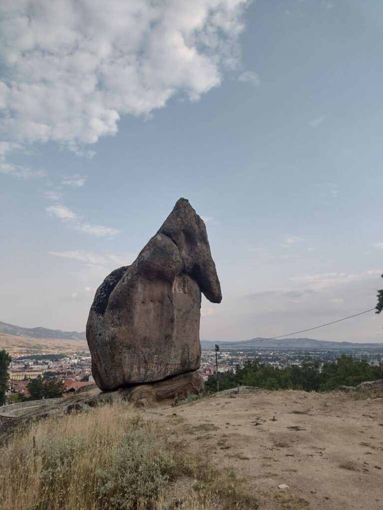 elephant rock