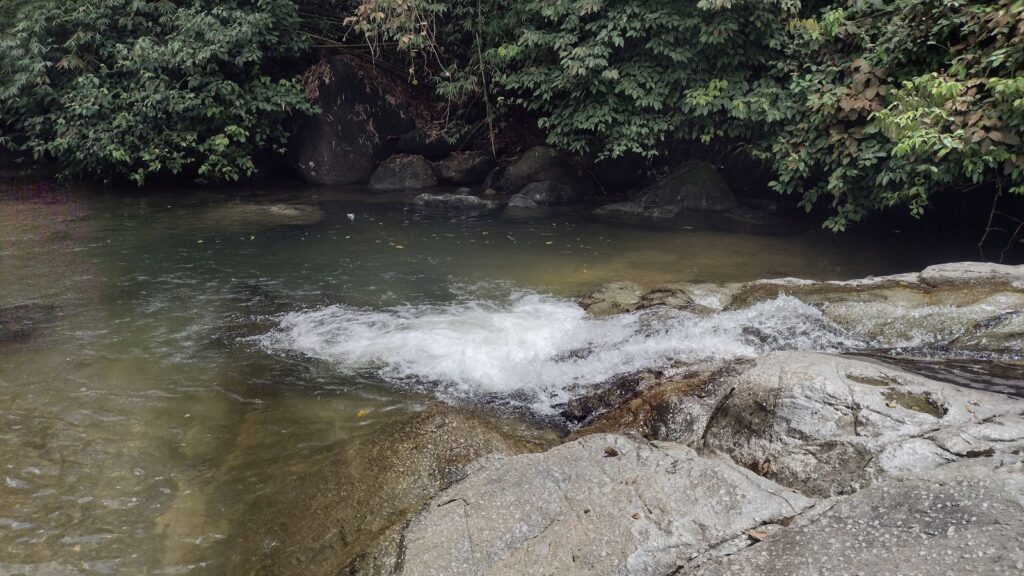 burmese pool taiping