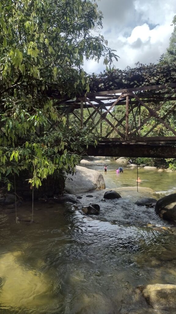 burmese pool bridge