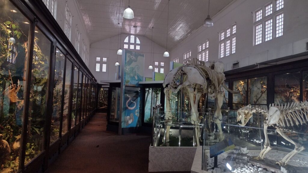 Perak Museum
