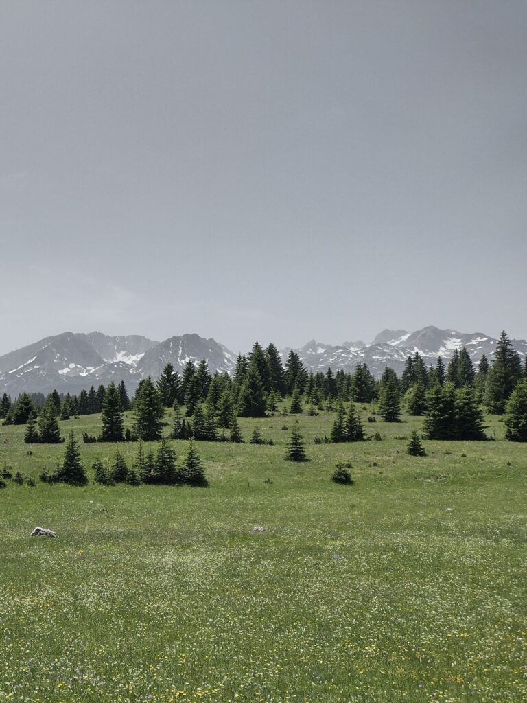 durmitor national park