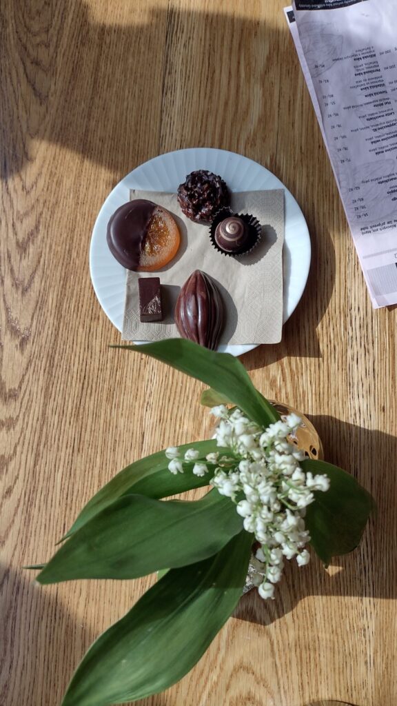 chocolate litomysl