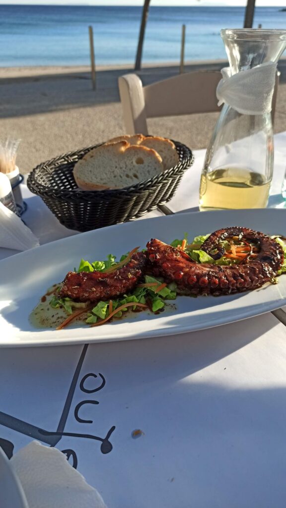 albanian riviera seafood