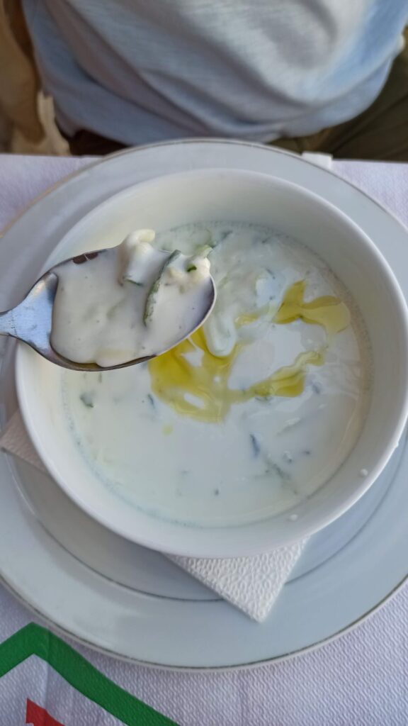 tarator soup