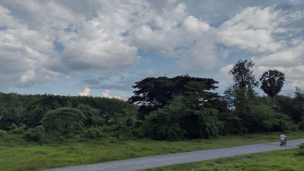 nakhon si thammarat province