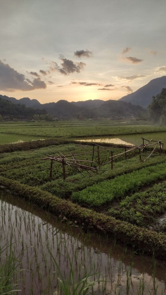mai chau sunsets