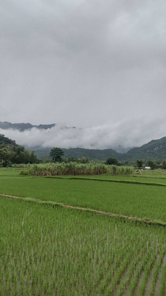 villages in mai chau