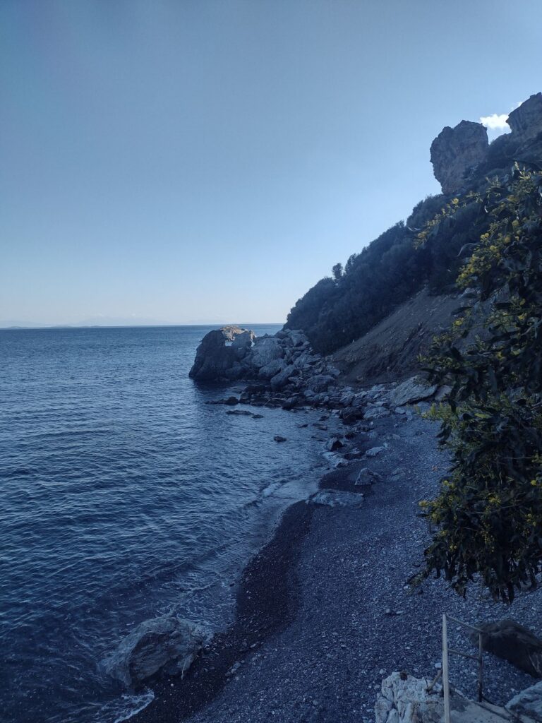 datca guide